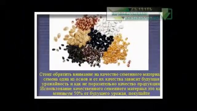 Презентация на тему Тепличное овощеводство смотреть онлайн