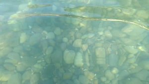 Турция2019.кемер.город бельдиби отель бельдиана