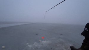 Яуза!! Пудыши!! Лещ на черта 03 03 2020