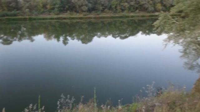 Рыбалка на донки с ночевкой на реке Дон в погоне за Сазаном. Отдых на природе.