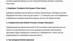 Как создать клумбу из неприхотливых кустарников?