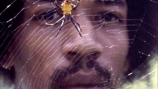 UNIVIBE VINTAGE FENDER TWIN AND A STRATOCASTER смотреть онлайн