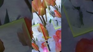 "Сегодня Бог проснулся утром рано." автор Ирина Самарина.