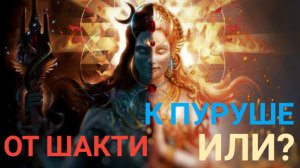 От Шакти прийти к Пуруше или наоборот