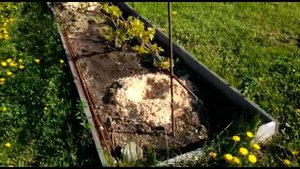 Полив и подкормка винограда БЫСТРО и НАДЁЖНО