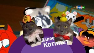 локотип котинет далее карусель 2 2024 лето заставки