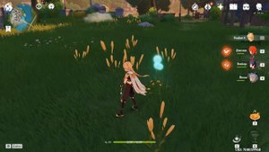 Семена одуванчика. Где и как их собирать. Genshin Impact