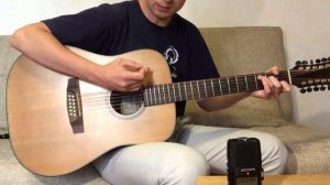 Dowina Woody Series D 555-12 acoustic 12 string guitar review (for sale)