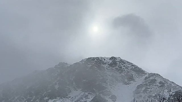 3 Field Watches: Boderry, Cronos, Avtrek. They Could Save Your LIFE смотреть онлайн