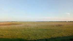 Исилькуль - Омск - Исилькуль