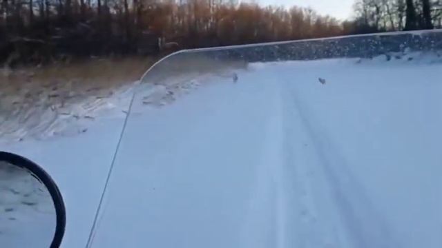 На Тофаларе в феврале 1ч смотреть онлайн