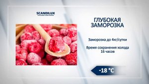 Морозильник SCANDILUX F 064 W