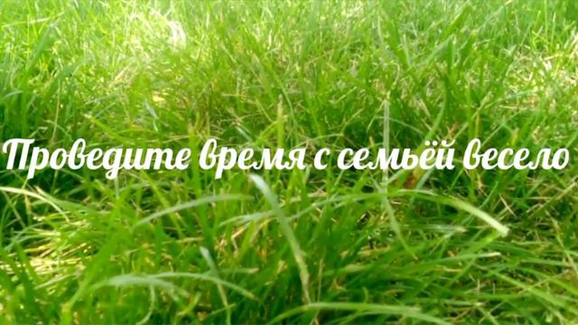 ЧТО ДЕЛАТЬ ЛЕТОМ НА ДАЧЕ?/Olga Kronner смотреть онлайн