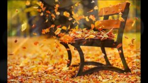 Проститься