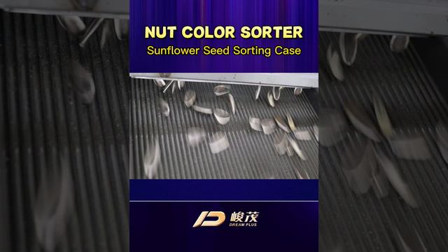 Nut Color Sorter,Sunflower Seed Sorting Case