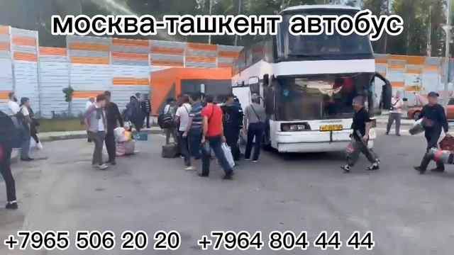 москва-ташкент автобус москва-узбекистан автобус санкт-петербург-узбекистан автобусов#automobile