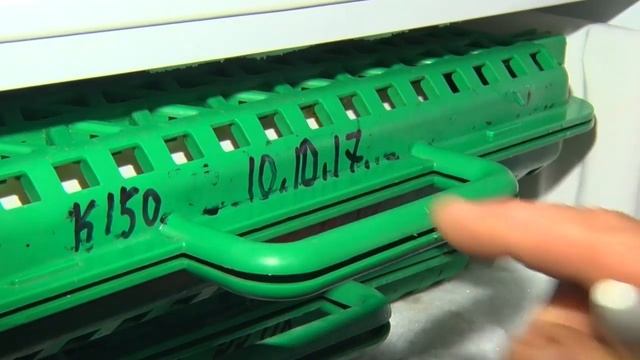 1 Телята от рождения до 3 месяцев смотреть онлайн