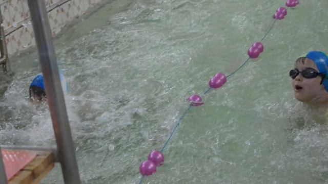 Соревнования по плаванию смотреть онлайн