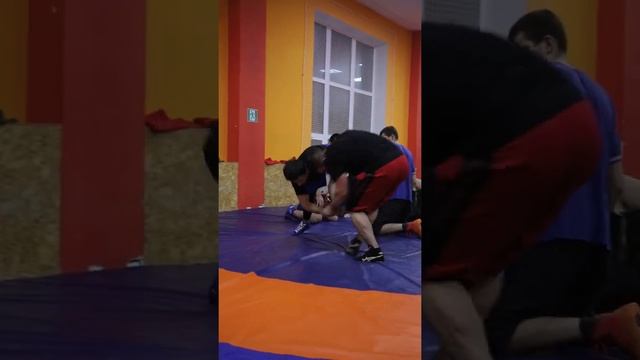 Вольная борьба Саратов смотреть онлайн