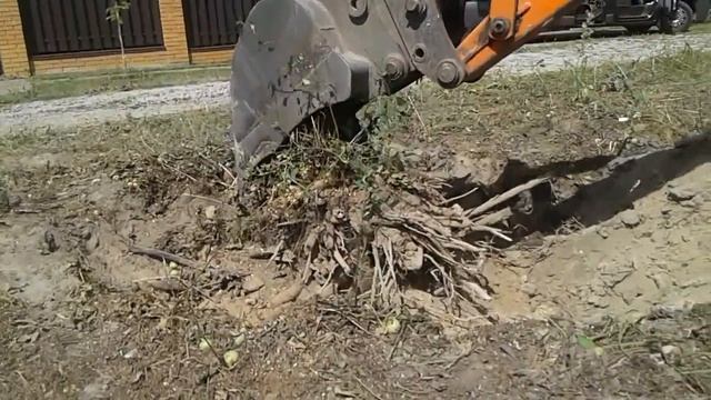 Ручная и механизированная расчистка участка от кустарников и деревьев ...