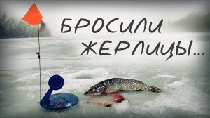 ? БРОСИЛИ ЖЕРЛИЦЫ БЕЗ ПРИСМОТРА!!! И вот что из этого получилось...???