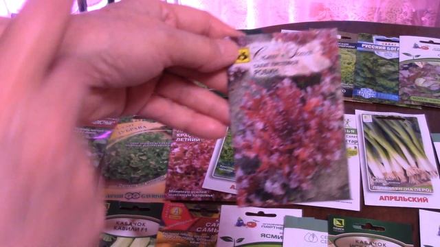 Зелень, кабачки, дайкон, редис. Семена 2022 г смотреть онлайн
