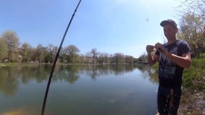 Ловля окуня, щуки, и красноперки в городском пруду