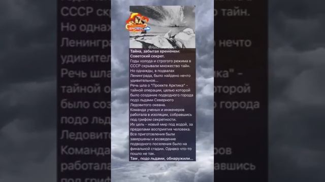 26 ноября 2023 г.