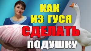Как из гуся сделать подушку.