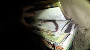 Нашёл котёнка в заброшенной деревне.Как он сюда попал?