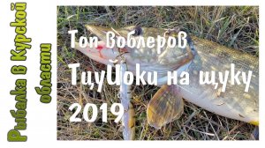 Лучшие воблеры TsuYoki на щуку 2019. Щука на Draga 130