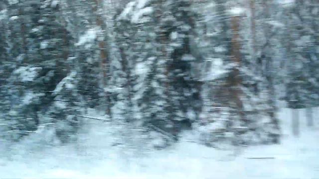 Вид из окна поезда на Россию зимой. The view from the train window to Russia in the winter