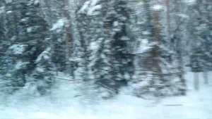 Вид из окна поезда на Россию зимой. The view from the train window to Russia in the winter