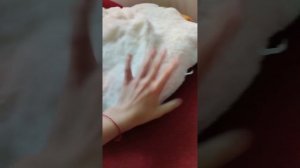 обзор на гуся обнимуся 130 см с валбериса