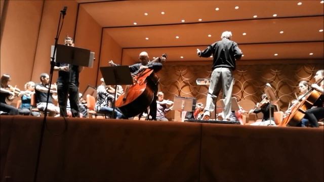 Jonathan Swartz, violin/Catalin Rotaru, bass - Mozart Sinfonia Concertante смотреть онлайн
