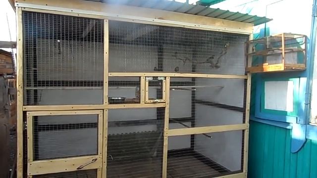 Уличный вольер, первое заселение. смотреть онлайн