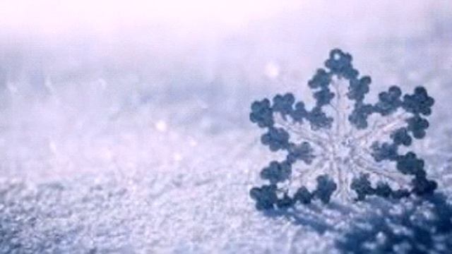 Первая снежинка