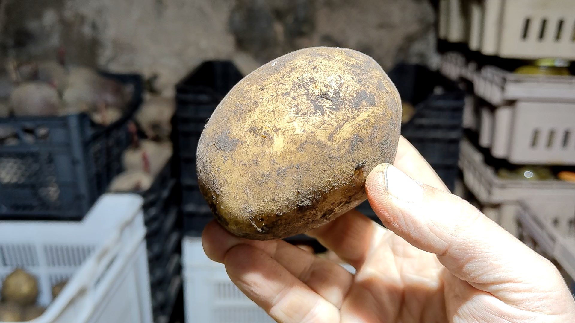 УЗНАВ ЭТОТ СЕКРЕТ ОБЫЧНОЙ КАРТОШКИ, вы захотите использовать её совсем по д смотреть онлайн