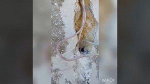 Аварийный вызов электрика. Пропал свет в частном доме