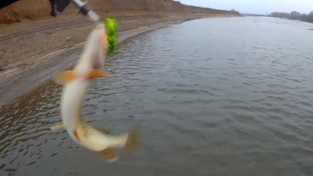 Щука на джерк. Москва-река. my fishing.ru смотреть онлайн