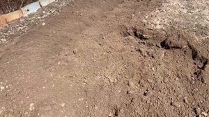 Как легко и быстро вспахать огород.