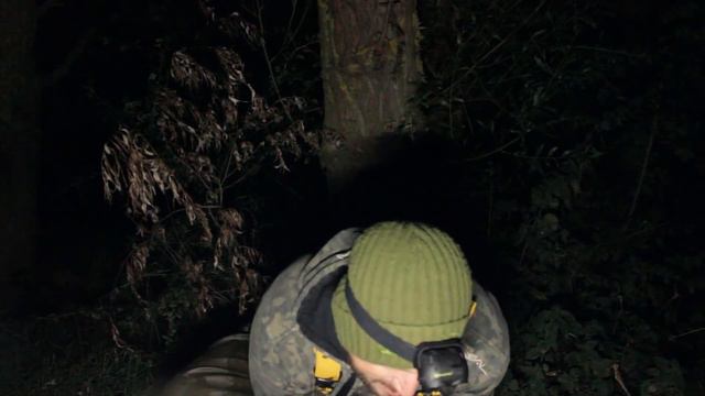 Passion For Big Carp Bluebell Swan Summer #4 смотреть онлайн