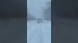 Медведь шатун встретился рыбакам