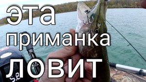 Рыбалка на щуку осенью с лодки на спиннинг.Разловил скопированую приманку!!!