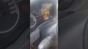 Фиат альбеа не видит открытия дверей.