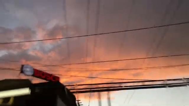 В человеческом организме (Салтанат Какимбек) смотреть онлайн