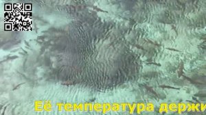 Тур в Узбекистане. Пустынный трип к «морю в песках» — озеру Айдаркуль