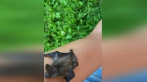 Подборка смешных видео и приколов. 176 Лучшие ПРИКОЛЫ 2023