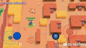 Я играю в brawl stars.