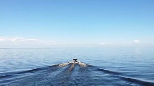 Волжанка 67 и Voyager 700 в середине Рыбинки